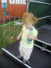 Click here to see the picture (Picture 145.jpg)